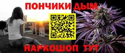 индика Тулун