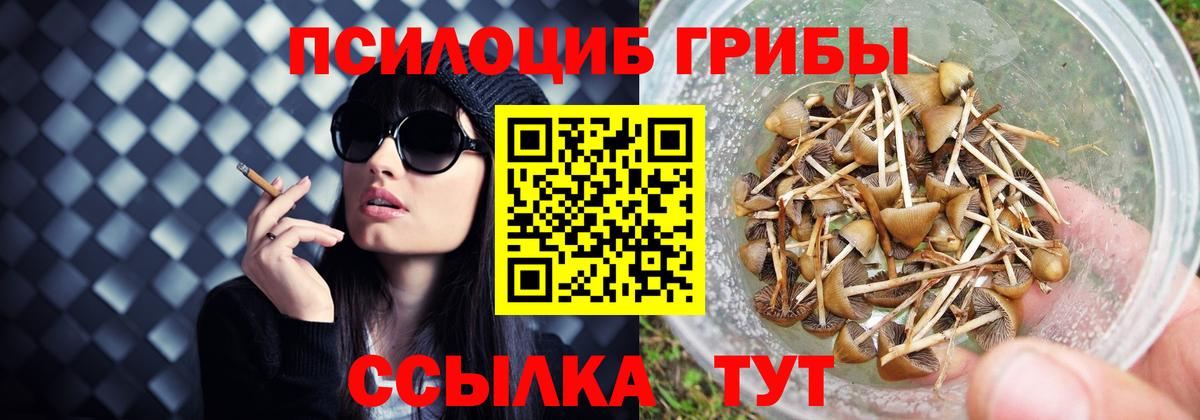 Галлюциногенные грибы мицелий Кимовск
